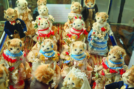 cat Wedding
